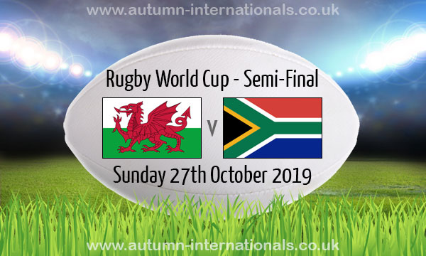 Wales 16-19 South Africa | RWC Semi-Final | 27 Oct 2019