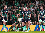 Ireland players celebrate victory over Springboks in 2022 Autumn Internationals