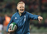 Joe Schmidt at the Ireland v Argentina match