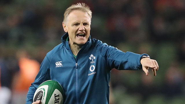 Joe Schmidt at the Ireland v Argentina match