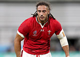 Josh Navidi in action for Wales v Georgia at World Cup