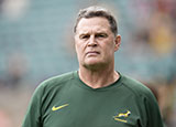 Rassie Erasmus South Africa head coach