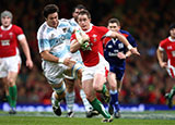 Shane Williams produced some outstanding performances against Argentina