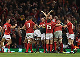 Wales celebrate after beating South Africa