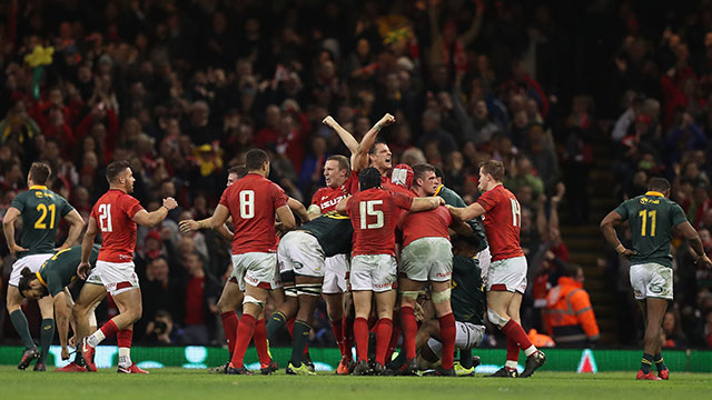Wales celebrate after beating South Africa