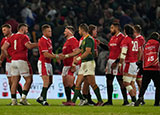 Wales celebrate victory in 2nd Test of 2022 summer tour