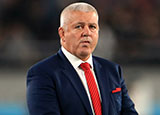 Warren Gatland at 2019 Rugby World Cup