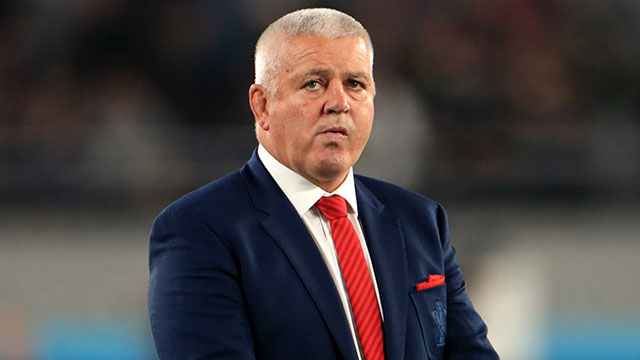 Warren Gatland at 2019 Rugby World Cup