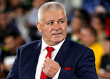 Warren Gatland at Wales v South Africa World Cup semi final match