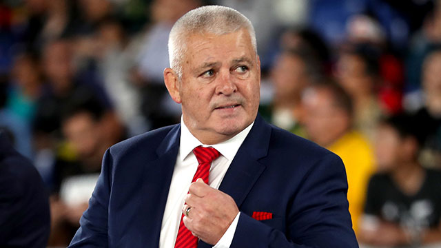 Warren Gatland at Wales v South Africa World Cup semi final match