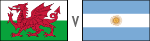 Wales v Argentina