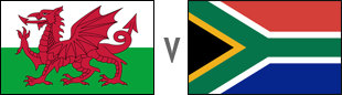 Wales vs Springboks